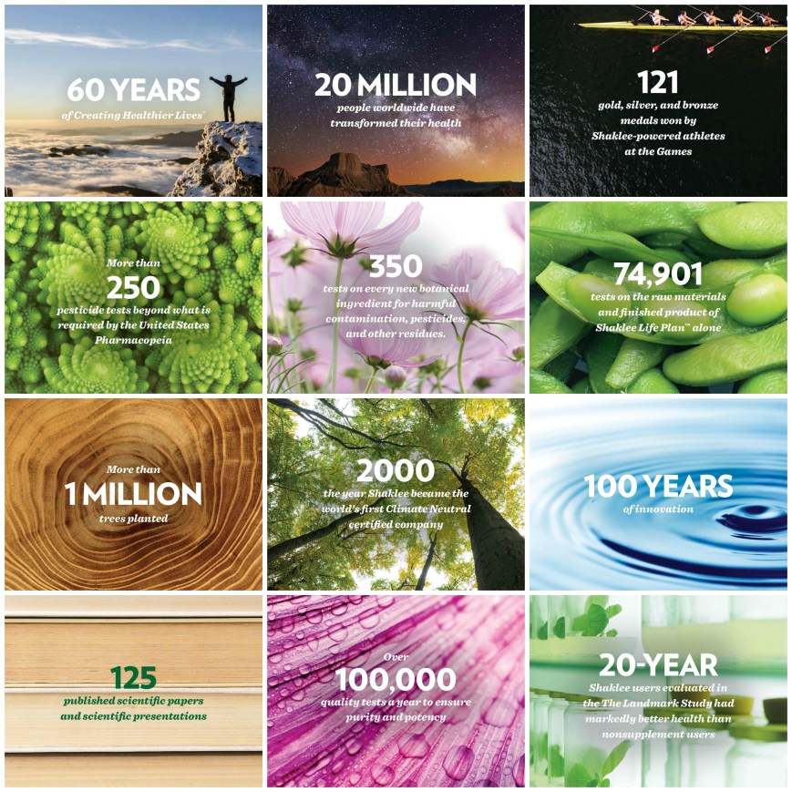 thisisshakleecollage